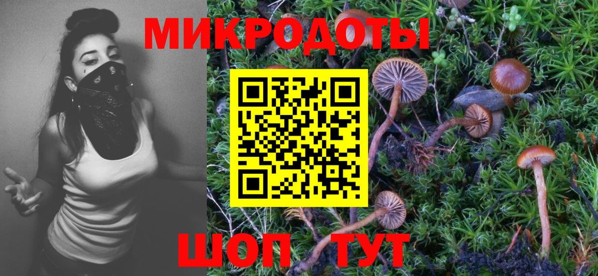 Галлюциногенные грибы Magic Shrooms Сухой Лог